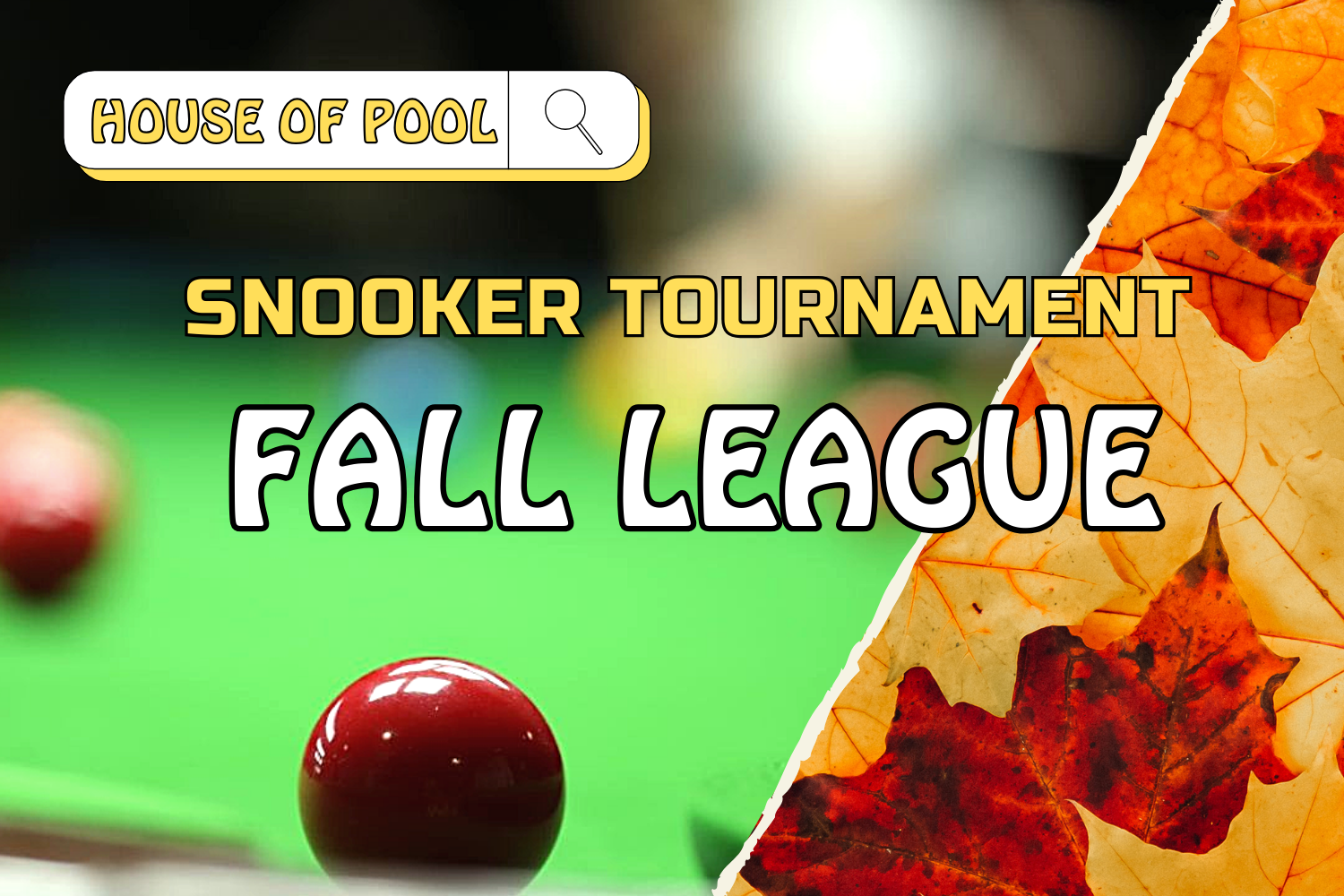 Snooker tournament FALL  LEAGUE